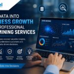 Turn Data into Business Growth with Professional Data Mining Services